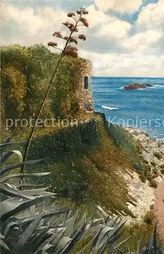 AK / Ansichtskarte La_Mortola Riviera di Ponente La_Mortola