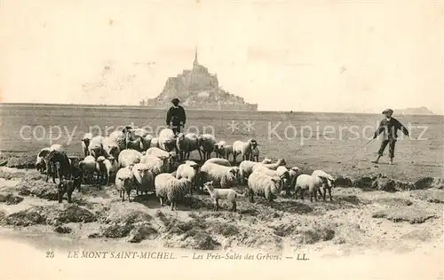 AK / Ansichtskarte Schafe Mont Saint Michel Sales des Greves  