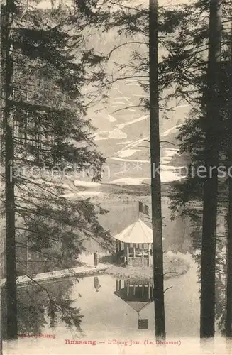 AK / Ansichtskarte Bussang_Vosges Etang Jean Le Diamont Bussang Vosges