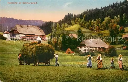 AK / Ansichtskarte Ernte_Landwirtschaft Heuernte Schwarzwald  