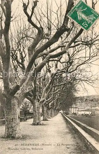 AK / Ansichtskarte Bedarieux La Perspective Promenade Allee Bedarieux
