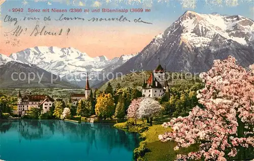 AK / Ansichtskarte Spiez_Thunersee_BE Panorama mit Niesen und Blueemlisalp Baumbluete Alpen Spiez_Thunersee_BE