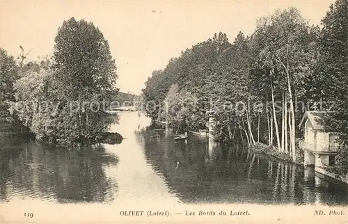 AK / Ansichtskarte Olivet_Loiret Bords du Loiret Olivet Loiret