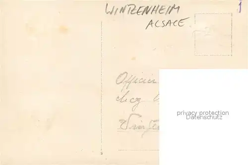 AK / Ansichtskarte Wintzenheim_Winzenheim_Elsass Cavallerist 