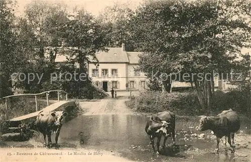 AK / Ansichtskarte Dampierre sur Blevy Le Moulin de Blevy 