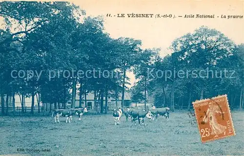 AK / Ansichtskarte Le_Vesinet Asile National La prairie Le_Vesinet