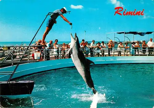 AK / Ansichtskarte Rimini Aquarium Delphin Show Rimini