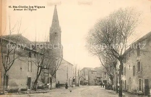 AK / Ansichtskarte Sainte Cecile les Vignes Avenue de l Eglise Sainte Cecile les Vignes