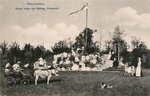 AK / Ansichtskarte Rheinfelden_Baden Grand Hotel des Salines Park Rheinfelden_Baden