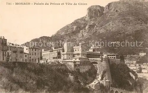AK / Ansichtskarte Monaco Palais du Prince et Tete de Chien Monaco