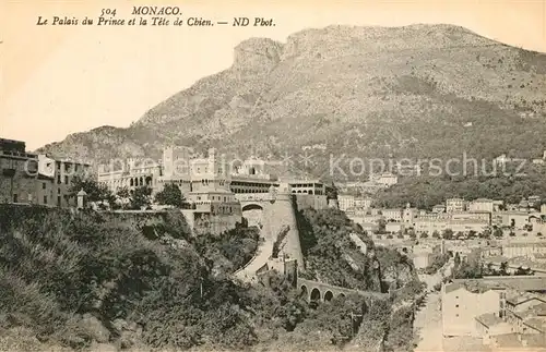 AK / Ansichtskarte Monaco Palais du Prince et la T?te de Chien Monaco