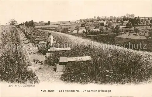 AK / Ansichtskarte Xertigny La Faisanderie un sentier d elevage Xertigny