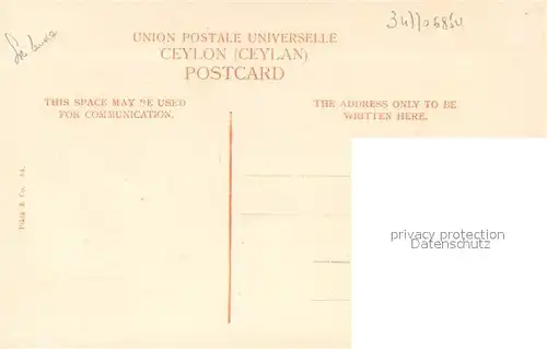 AK / Ansichtskarte Ceylon_Sri_Lanka racing Hackeries Ceylon_Sri_Lanka