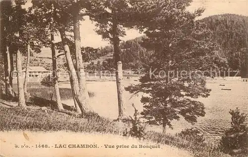 AK / Ansichtskarte Lac_Chambon Vue prise du Bosquet 