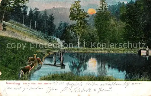 AK / Ansichtskarte Inselsberg_Schmalkalden Panorama Inselsberg Schmalkalden