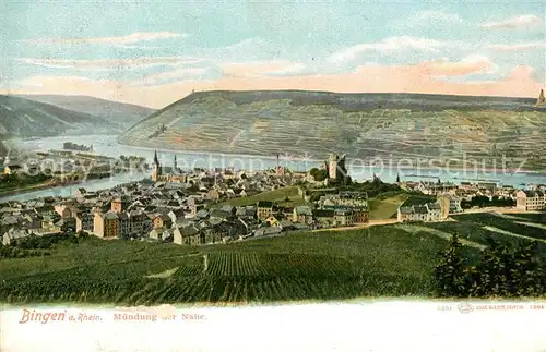 AK / Ansichtskarte Bingen_Rhein M?ndung der Nahe Bingen Rhein