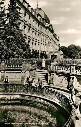 AK / Ansichtskarte Donaueschingen Donauquelle und Schlo Donaueschingen