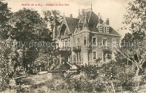 AK / Ansichtskarte Bayon Chateau du Petit Bois Bayon