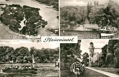 AK / Ansichtskarte Pfaueninsel_Berlin Fliegeraufnahme Gasthaus Pfau Schloss Pfaueninsel Berlin