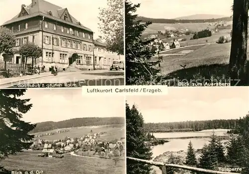 AK / Ansichtskarte Carlsfeld_Erzgebirge Gasthaus Zum gruenen Baum Panorama Blick zum Auersberg Talsperre Carlsfeld Erzgebirge
