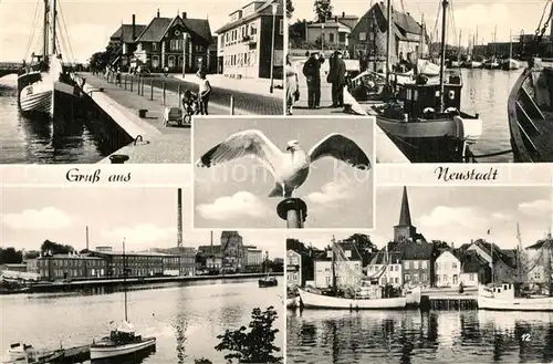 AK / Ansichtskarte Neustadt_Holstein Anleger Promenade Hafenpartien Neustadt_Holstein