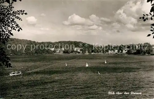 AK / Ansichtskarte Malente Gremsmuehlen Blick ueber den Dieksee Malente Gremsmuehlen