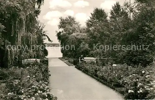 AK / Ansichtskarte Eutin Rosengarten Eutin