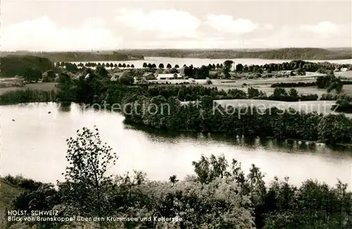 AK / Ansichtskarte Holsteinische_Schweiz Blick ueber den Krummsee und Kellersee Holsteinische_Schweiz