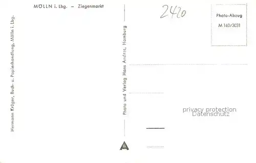 AK / Ansichtskarte Moelln_Lauenburg Ziegenmarkt Moelln_Lauenburg
