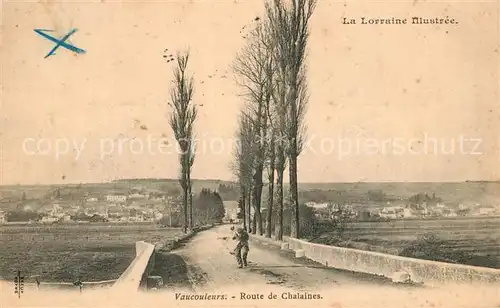 AK / Ansichtskarte Vaucouleurs Route de Chalaines Vaucouleurs