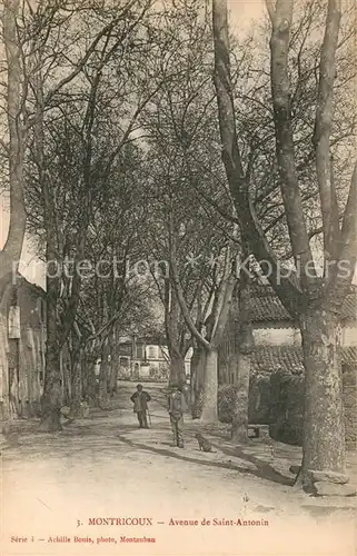 AK / Ansichtskarte Montricoux Avenue de Saint Antonin Montricoux