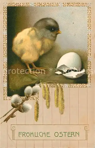 AK / Ansichtskarte Ostern_Easter_Paques K?ken Ei Weidenk?tzchen Litho 