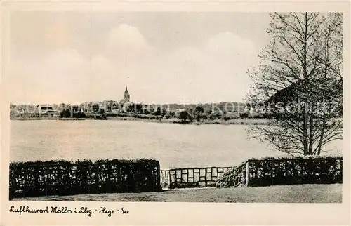 AK / Ansichtskarte Moelln_Lauenburg Hege See Moelln_Lauenburg