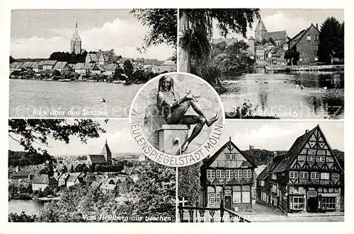 AK / Ansichtskarte Moelln_Lauenburg Stadtsee Am Muehlenteich Blick vom Heidberg Markt mit Museum Eulenspiegelbrunnen Moelln_Lauenburg