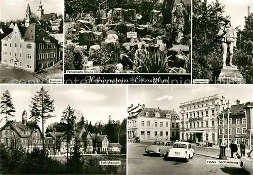 AK / Ansichtskarte Hohenstein Ernstthal Rathaus Versteinerte Baeume Bergmann Statue Hotel Sachsenring Bethlehemstift Hohenstein Ernstthal