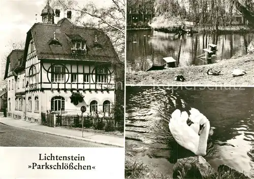 AK / Ansichtskarte Lichtenstein_Hohenstein Ernstthal Parkschloesschen Schwanenteich Schwan Lichtenstein