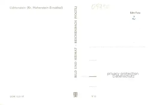 AK / Ansichtskarte Lichtenstein_Hohenstein Ernstthal Parkschloesschen Schwanenteich Schwan Lichtenstein