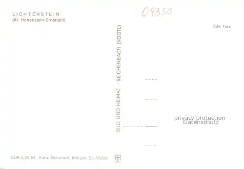 AK / Ansichtskarte Lichtenstein_Hohenstein Ernstthal Stadtpanorama Lichtenstein