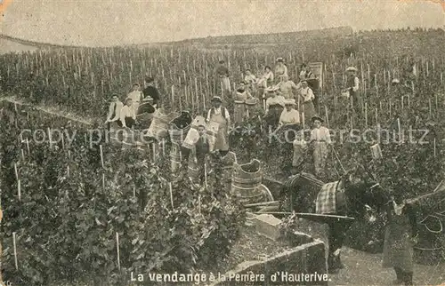 AK / Ansichtskarte Hauterive_NE Weinernte Pferdefuhrwerk Hauterive NE