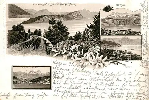 AK / Ansichtskarte Luzern_LU Vierwaldstaettersee Buergenstock Gersau Luzern_LU