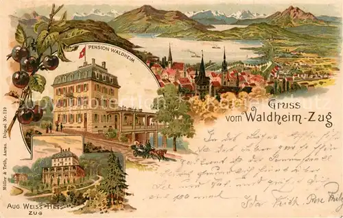 AK / Ansichtskarte Zug_ZG Pension Waldheim  Zug_ZG