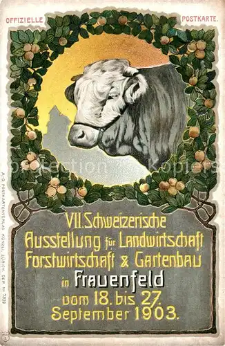 AK / Ansichtskarte Frauenfeld VII. Schweizerische Ausstellung Landwirtschaft Forstwirtschaft Gartenbau Frauenfeld