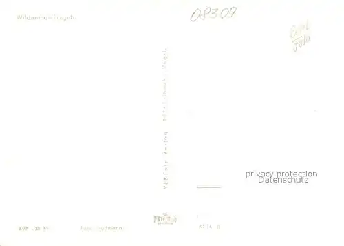 AK / Ansichtskarte Wildenthal_Eibenstock Teilansicht Park Brunnen Wildenthal_Eibenstock