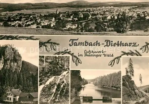AK / Ansichtskarte Tambach Dietharz Gesamtansicht Falkenstein Wasserfall Tammichgrund Landschaftspanorama Tambach Dietharz