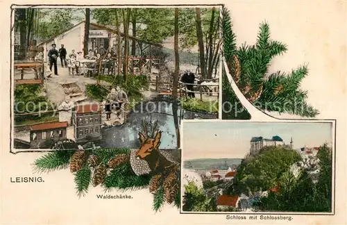 AK / Ansichtskarte Leisnig Waldschaenke Schloss Schlossberg Leisnig