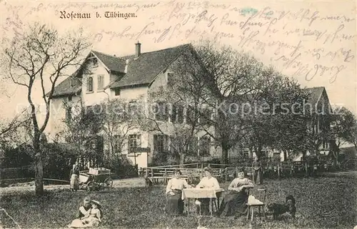 AK / Ansichtskarte Tuebingen_Neckar Hofgut Rosenau 