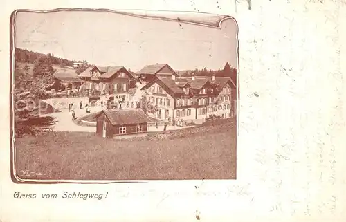 AK / Ansichtskarte Schlegwegbad Panorama Schlegwegbad