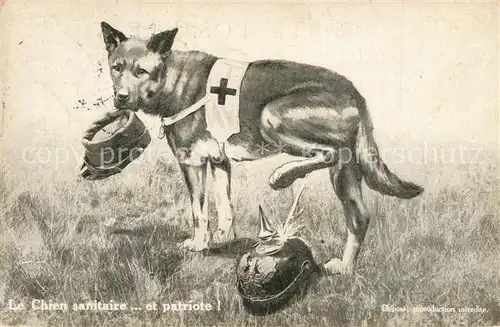 AK / Ansichtskarte Hunde Sanit?tshund pinkelt auf Pickelhaube WK1  