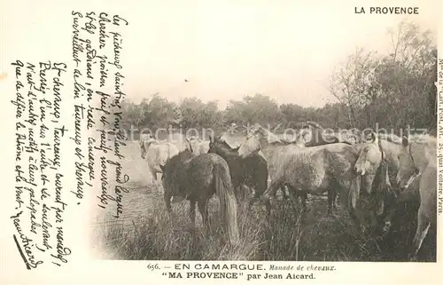 AK / Ansichtskarte Pferde Camargue Manade de Chevaux  