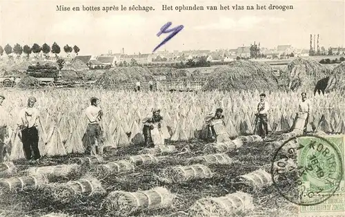 AK / Ansichtskarte Landwirtschaft Mise en bottes apres le Sechage Belgien 